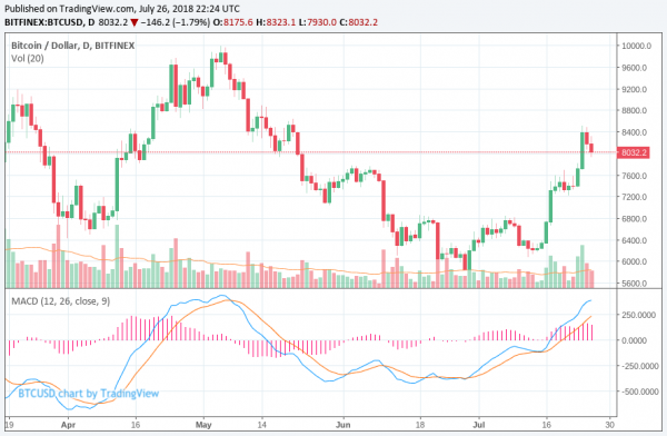 Crypto ETF Rejection Sends Bitcoin Price Below $8,000