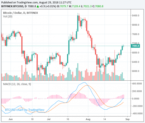 Bitcoin Price Climbs to $7,100 as Crypto Market Hits $232 Billion, EOS Surges 15%