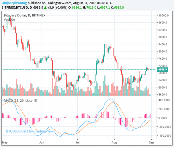 Bitcoin Price at $7,000: Market Recovers After Minor Drop, WaltonChain Surges 30%