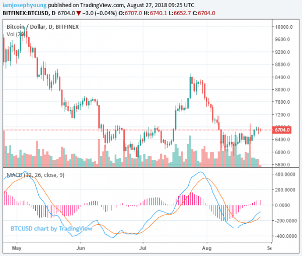 ICON Records 23% Gain Again While Crypto Market Sees Gloomy Forecast