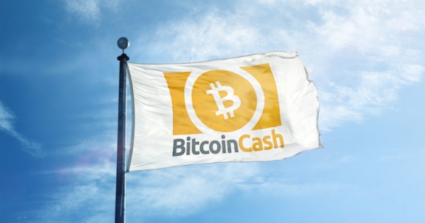 Bitcoin Cash Celebrates First Anniversary
