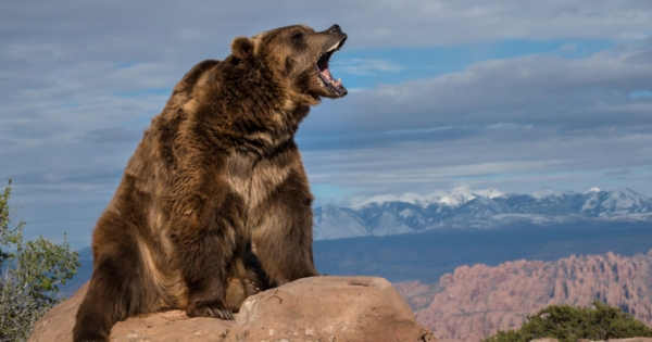 Bitcoin Price Intraday Analysis: BTCUSD Bearish Pattern Continues