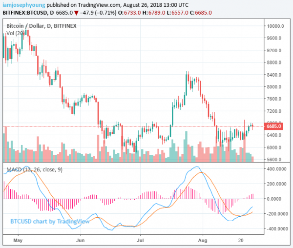 ICON, and WanChain Record Massive Gains Despite Low Bitcoin Volumes