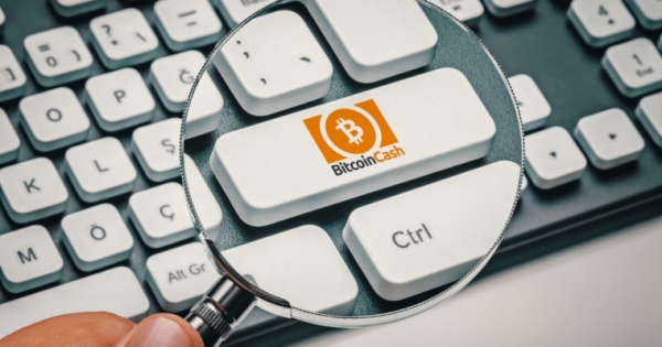 Commercial Use of Bitcoin Cash Payments has Dropped: Analytics Firm