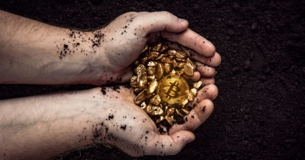 Bitcoin Will Supplant Gold as the Most Trusted Store of Value: VC Lou Kerner