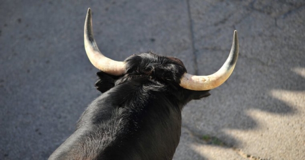 Fujitsu, Trinity Proving to be the Bulls: IOTA Price Soars 20%, Again