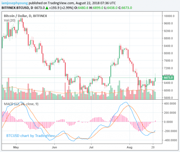 Bitcoin Price Surges 4% as Crypto Exchange BitMEX Initiates Maintenance