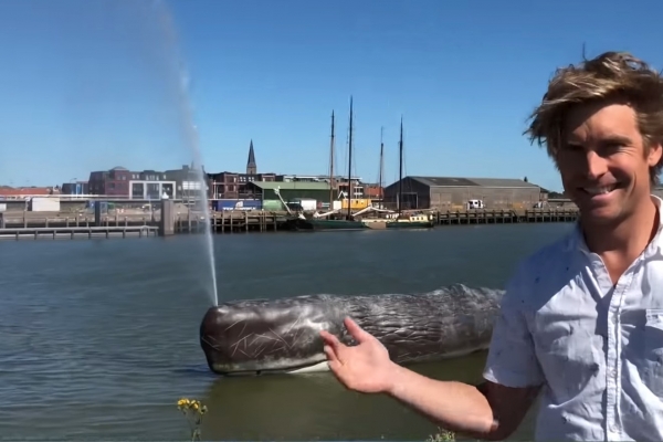 Blockchain Adoption, or How to Make a (Fake) Whale Squirt