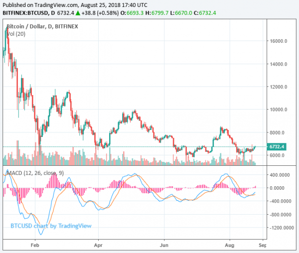 Why Some Bulls Expect Bitcoin to Fall Below $5,000 Prior to Big Rally