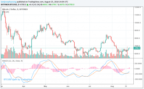 $215 Billion: Crypto Market Continues Recovery as Bitcoin Price Hits $6,700