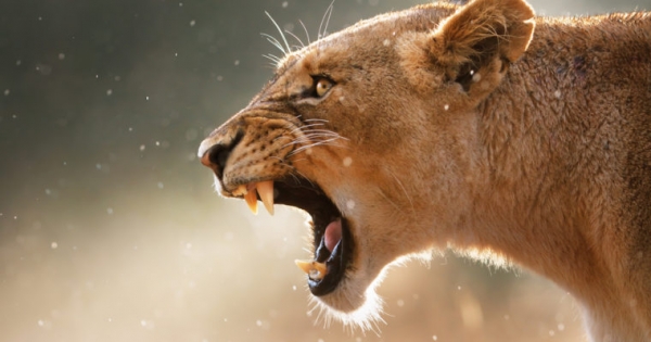 Newsflash: Ethereum Price Claws Its Way Back to $300 as Market Adds Billions