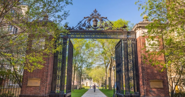 Yale Economists Share Strategies to Strongly Forecast Bitcoin Returns