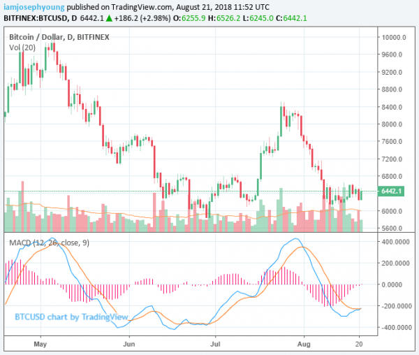 Tokens Record Losses as Major Cryptos Struggle; Bitcoin Stable at $6,500