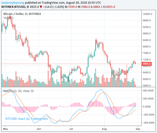 Bitcoin Price Falls Below $6,900, Traders See $6,500 as the Next Support