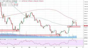 Bitcoin Rally Faces Headwind as Price Dips