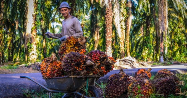 Malaysia is Directing Its Three Largest Industries to Blockchain Technology