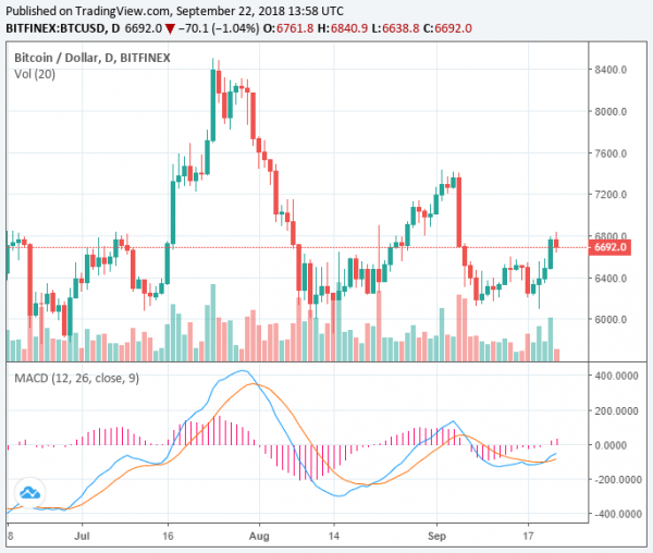 Crypto Market Stabilizes After $25 Billion Surge, Can Bitcoin Price Breach $6,800?