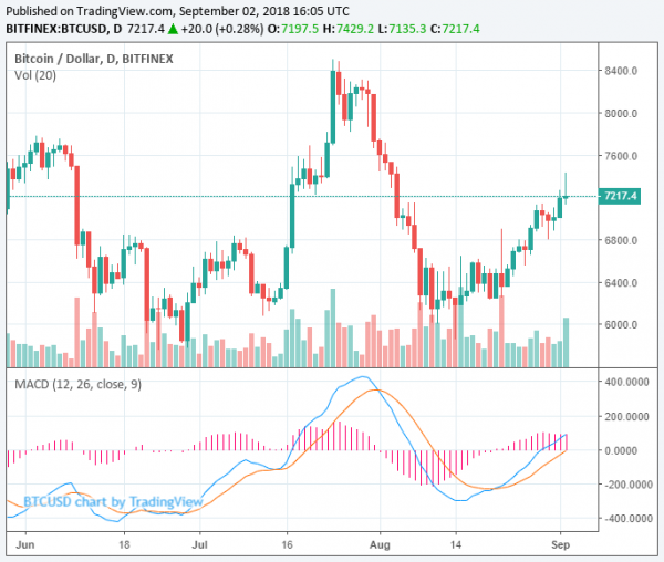 Bitcoin Price Secures $7,200 as Shorts Rise Rapidly but Tokens Bleed Out