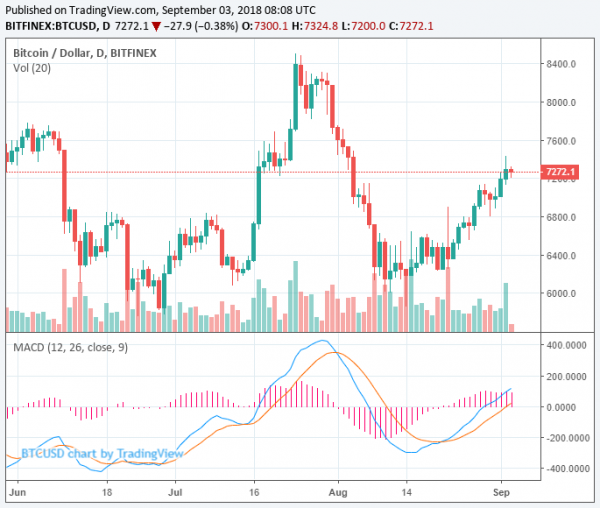 Major Cryptocurrencies Fall But Bitcoin Price Crucially Secures $7,200; Future Trends