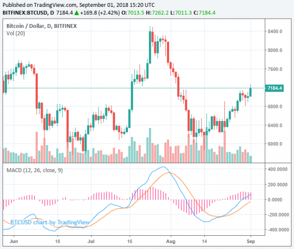 Bitcoin Price Just Surged to $7,200 Within 1 Hour, Strong Short-Term Rally Next?