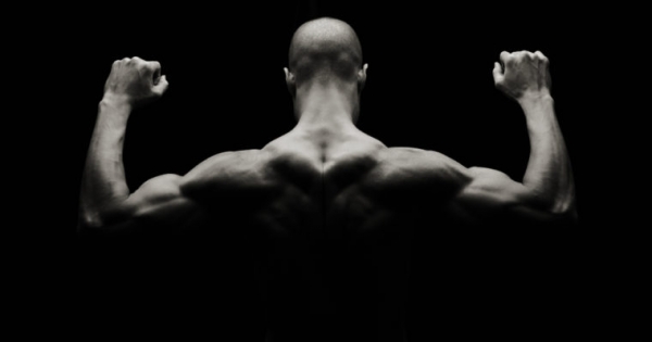 Bitcoin Flexes its Muscles as Cryptocurrency Market Tumbles to 2018 Low