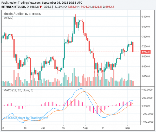 $7,400 to $6,950: Bitcoin Price Drops 2% Within 30 Minutes in Crypto Market Bleed