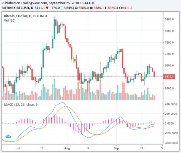 Did the Mt. Gox Trustee Bitcoin Sell-Off Cause the Crypto Market to Crash?