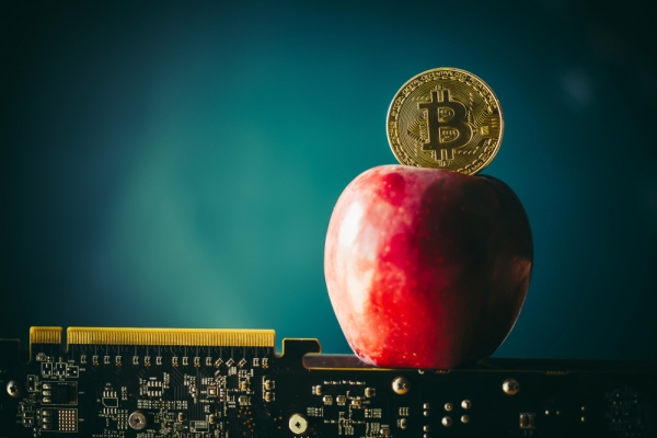 NYU Offers First Crypto Major in US, Sees Exponential Increase in Interest