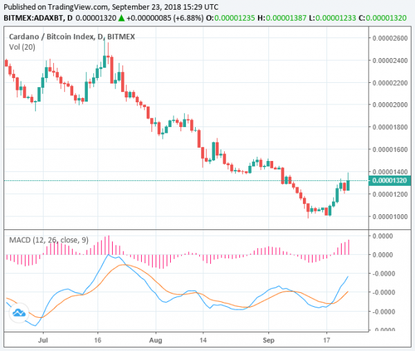 Stellar Surges 19%, Cardano Gains in Sunday&rsquo;s Best Performing Crypto