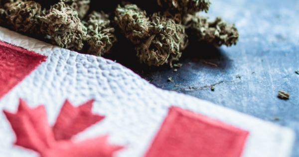 Canada to Study Cannabis Cryptomarkets Ahead of Recreational Marijuana Legalization