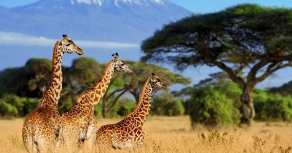 Crypto Exchange Giant Binance Outlines Plans to Expand in Africa