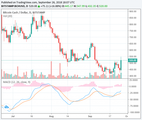 Ripple and Bitcoin Cash Gain 20% as Crypto Market Adds $12 Billion