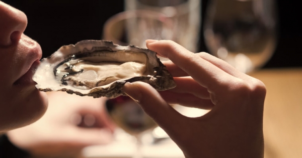 Oyster Protocol Founder Exit Scams, Steals $300,000 from ICO Smart Contract