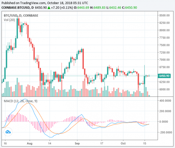Bitcoin Has Hit the Bottom: Why it is Unlikely to Fall Below $6,000