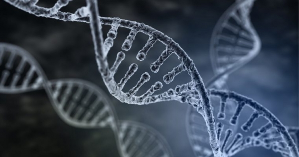 Blockchain Use in the Life Science Organizations has  Tripled Since 2017: Survey