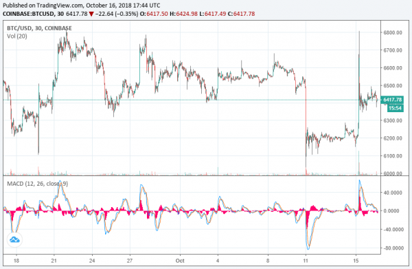 Next Bitcoin Bull Run Will See Crypto Market Rise ‘10x’: Pantera CIO