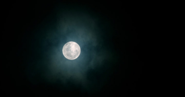 Bitcoin Opinion: Mixed Signals Arising. When Moon?