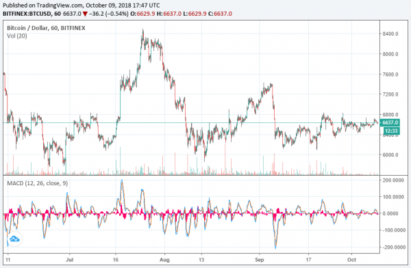 Analyst: Ethereum Sell-Off in August Shows Crypto Has Hit a Bottom in 2018