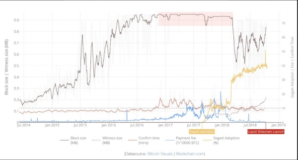 Bitcoin Network Congestion Reaches 95%, But Fees Hold Steady
