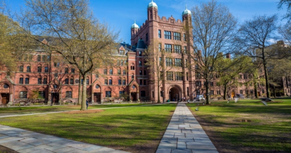 Yale University Has Invested in Two Cryptocurrency Funds: Report