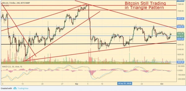 Bitcoin Opinion: Mixed Signals Arising. When Moon?