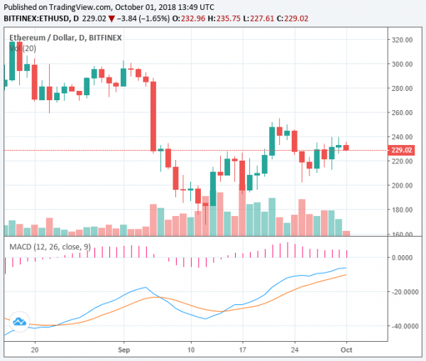 Did Ethereum Bottom Out at $170? Worst Part of ETH Drop May be Over