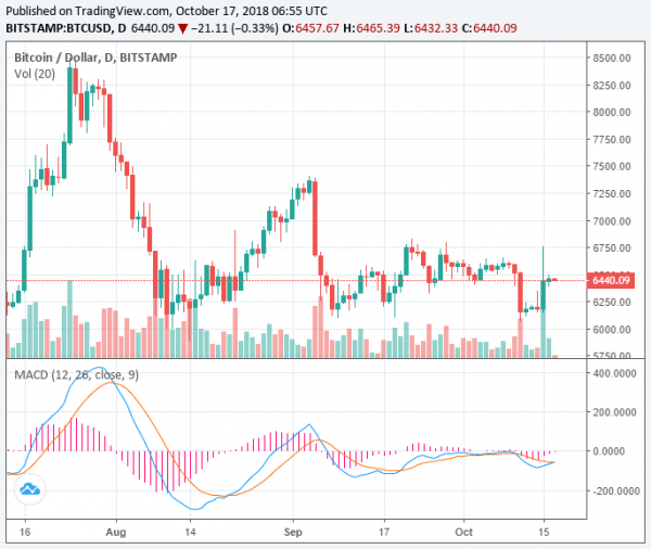 Bitcoin Price Rises to $6,450 as Market Stabilizes, Has Crypto Hit a Bottom?
