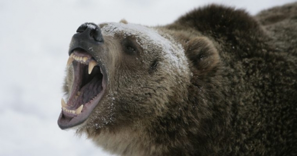 Bitcoin Price Intraday Analysis: BTC/USD More Bearish than Ever