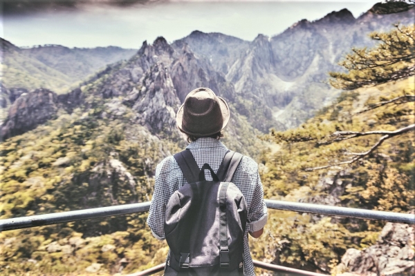 S Korean "Alps" to Offer Digital Fiat to its 6.6m Visitors