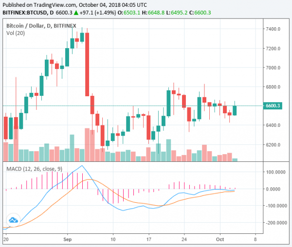 Bitcoin Price Unexpectedly Rises to $6,600, as Market Adds $5 Billion in Hours
