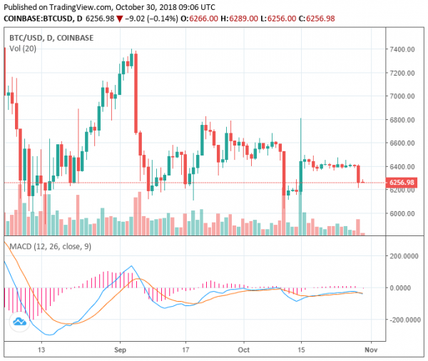 BCH and EOS Extend Losses to 5% as Bitcoin Price Drops to $6,250