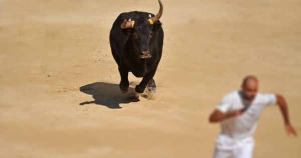 Bitcoin Price Fails to Record Big Breakout But Market Remains Bull-Friendly