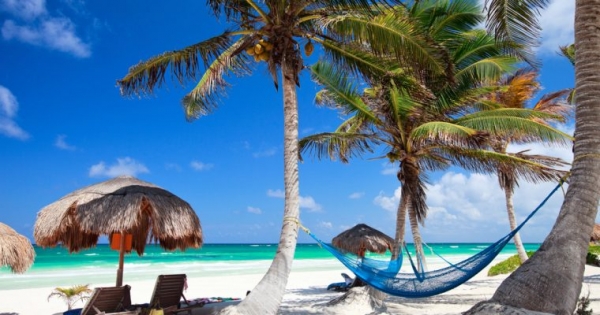 Caribbean Examinations Council to Issue Blockchain Certificates to 24,000 Candidates