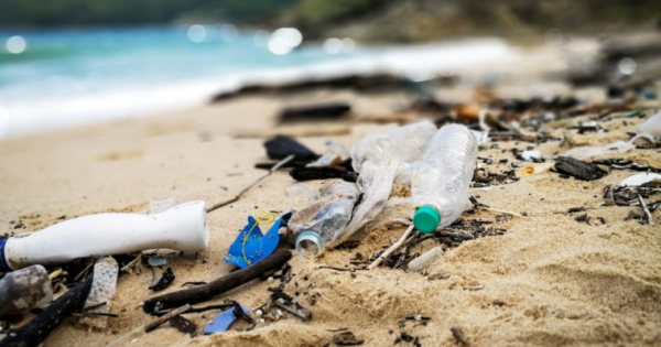 Manila Residents Paid in Ethereum For Cleaning Up Philippines’ Polluted Beaches